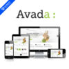 Avada wordpress theme